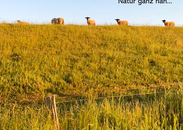 Hafenblick Apartamento *